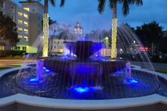 Tarpon-blue-light-1
