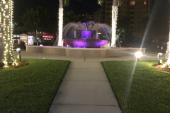 Tarpon-purple-night