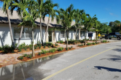 Commercial landscaping