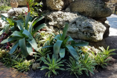 lush landscaping