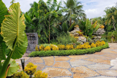 Tropical landscaping
