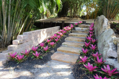 border landscaping