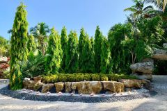 landscaping pine island