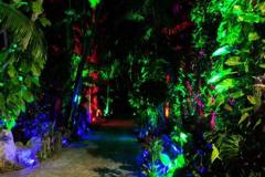 Walkway color lighting