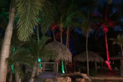 Colorful landscape lighting