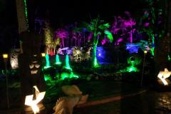 color landscape lighting