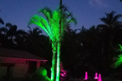 uplighting for landscape