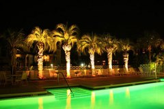 landscape lighting