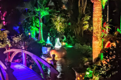 Color lighting