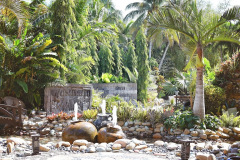 Rock pond