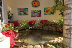 front of house pond