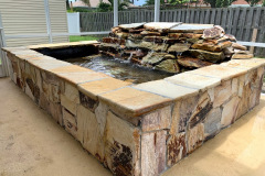 Alabama Raised Pond