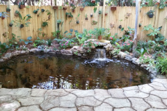 Aquascape pond Naples