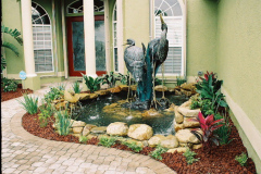 Formal Pond