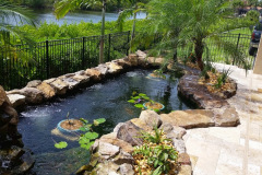 Koi pond