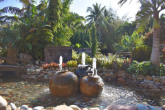 Pine Island pond