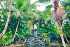 Natural Coral Rock Waterfall